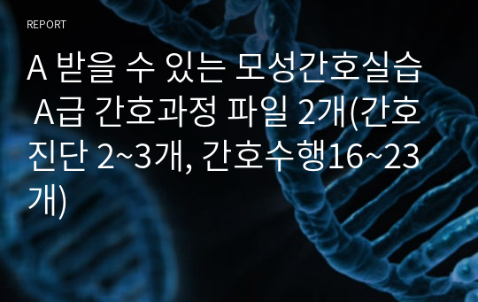 A 받을 수 있는 모성간호실습 A급 간호과정 파일 2개(간호진단 2~3개, 간호수행16~23개)