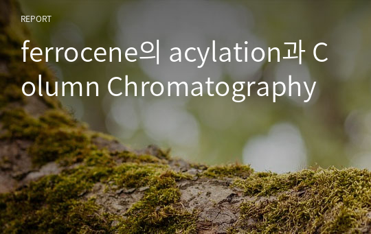 ferrocene의 acylation과 Column Chromatography