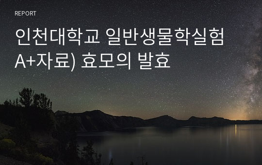 인천대학교 일반생물학실험 A+자료) 효모의 발효