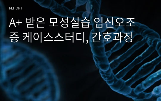 A+ 받은 모성실습 임신오조증 케이스스터디, 간호과정