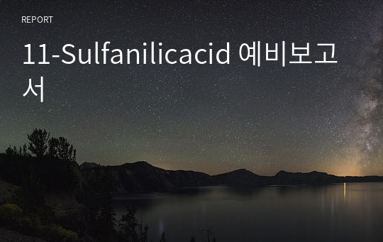 11-Sulfanilicacid 예비보고서