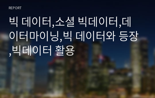 빅 데이터,소셜 빅데이터,데이터마이닝,빅 데이터와 등장,빅데이터 활용