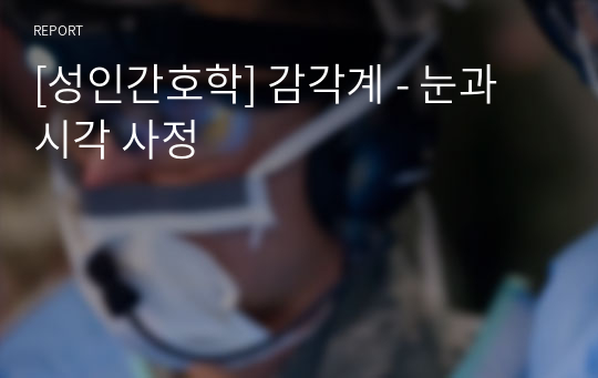 [성인간호학] 감각계 - 눈과 시각 사정