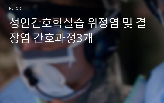 성인간호학실습 위정염 및 결장염 간호과정3개