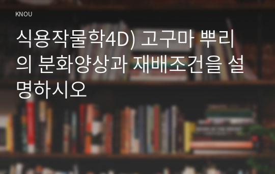 식용작물학4D) 고구마 뿌리의 분화양상과 재배조건을 설명하시오