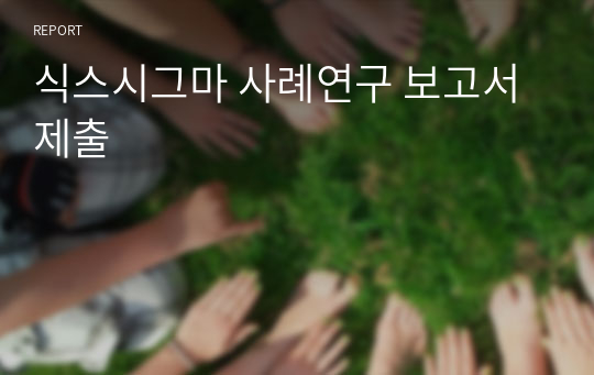 식스시그마 사례연구 보고서 제출