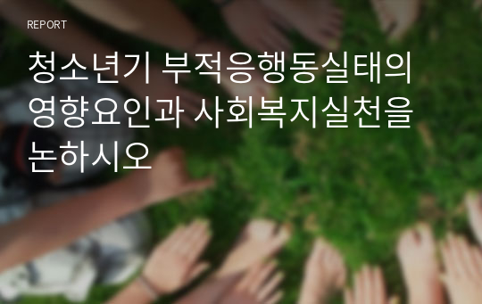 청소년기 부적응행동실태의 영향요인과 사회복지실천을 논하시오