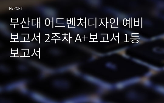 부산대 어드벤처디자인 예비보고서 2주차 A+보고서 1등보고서