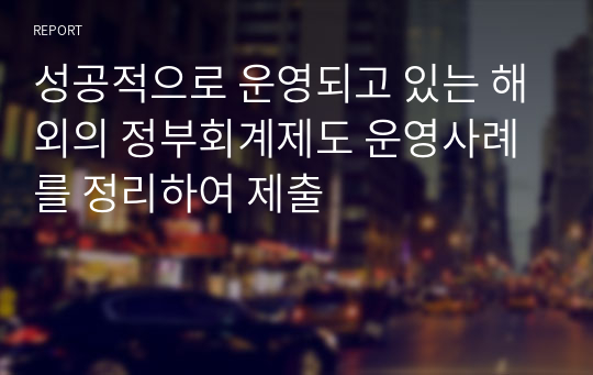 성공적으로 운영되고 있는 해외의 정부회계제도 운영사례를 정리하여 제출