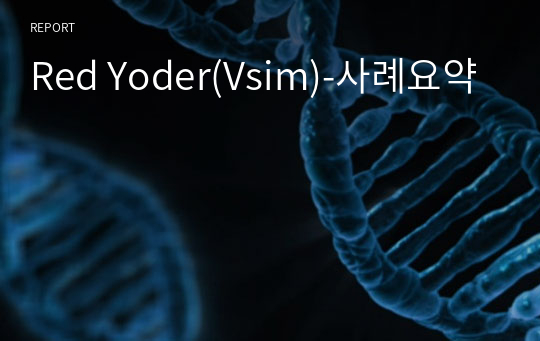 Red Yoder(Vsim)-사례요약