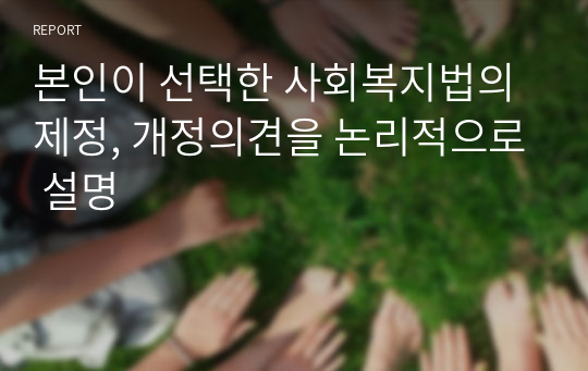 본인이 선택한 사회복지법의 제정, 개정의견을 논리적으로 설명