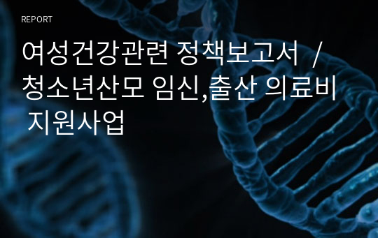 여성건강관련 정책보고서  /청소년산모 임신,출산 의료비 지원사업