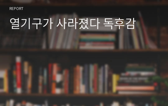 열기구가 사라졌다 독후감