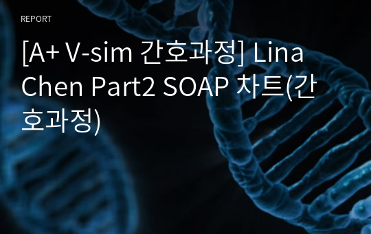 [A+ V-sim 간호과정] Lina Chen Part2 SOAP 차트(간호과정)
