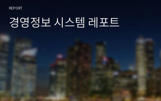 경영정보 시스템 레포트