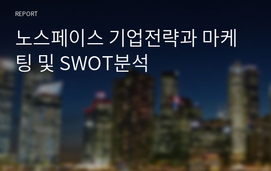 노스페이스 기업전략과 마케팅 및 SWOT분석