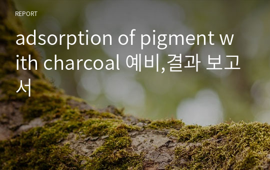 adsorption of pigment with charcoal 예비,결과 보고서