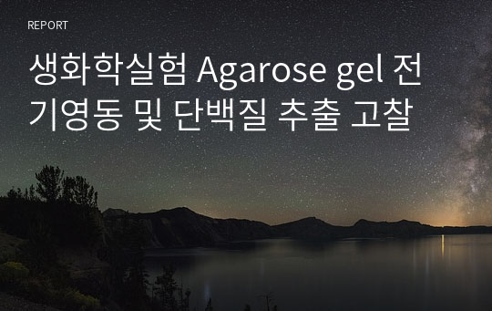 생화학실험 Agarose gel 전기영동 및 단백질 추출 고찰