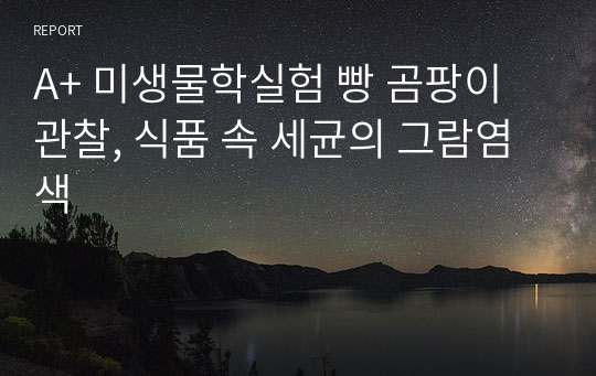 A+ 미생물학실험 빵 곰팡이 관찰, 식품 속 세균의 그람염색