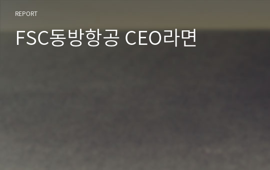 FSC동방항공 CEO라면