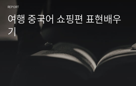 여행 중국어 쇼핑편 표현배우기