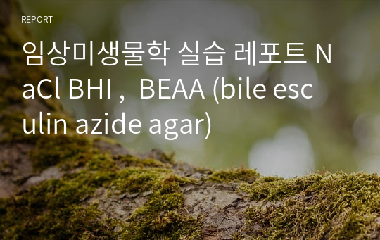 임상미생물학 실습 레포트 NaCl BHI ,  BEAA (bile esculin azide agar)