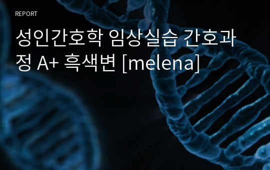 성인간호학 임상실습 간호과정 A+ 흑색변 [melena]