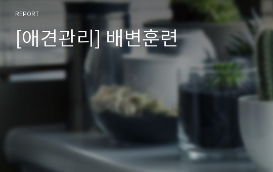 [애견관리] 배변훈련