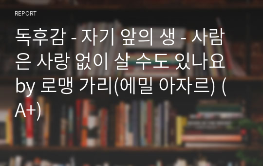 독후감 - 자기 앞의 생 - 사람은 사랑 없이 살 수도 있나요 by 로맹 가리(에밀 아자르) (A+)