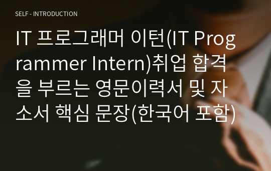 IT 프로그래머 인턴(IT Programmer Intern)취업 합격을 부르는 영문이력서 및 자소서 핵심 문장(한국어 포함)