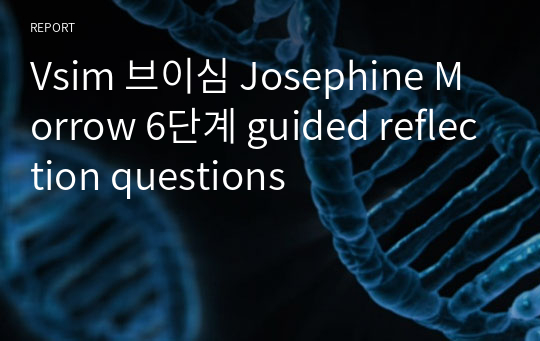 Vsim 브이심 Josephine Morrow 6단계 guided reflection questions