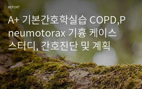 A+ 기본간호학실습 COPD,Pneumotorax 기흉 케이스 스터디, 간호진단 및 계획