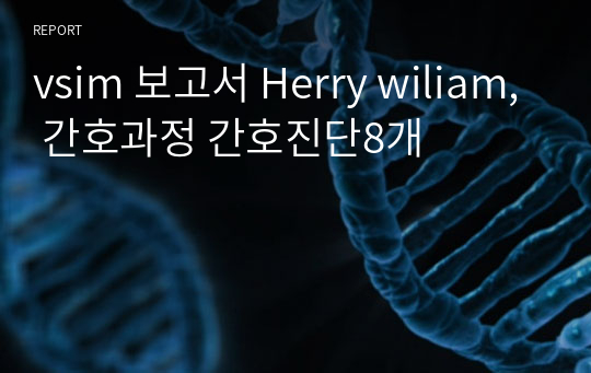 vsim 보고서 Herry wiliam, 간호과정 간호진단8개