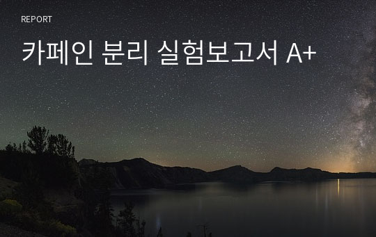 카페인 분리 실험보고서 A+