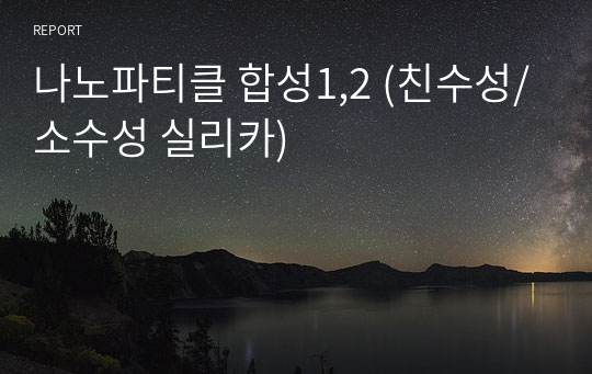 나노파티클 합성1,2 (친수성/소수성 실리카)