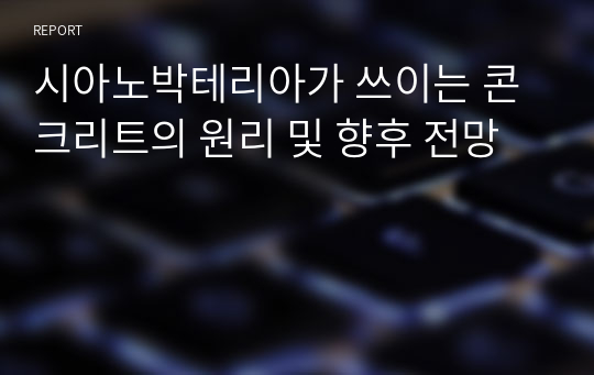 시아노박테리아가 쓰이는 콘크리트의 원리 및 향후 전망