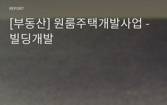 [부동산] 원룸주택개발사업 - 빌딩개발