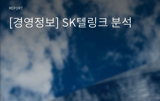 [경영정보] SK텔링크 분석
