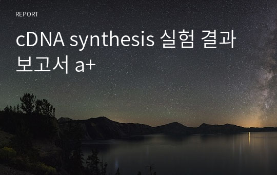 cDNA synthesis 실험 결과보고서 a+