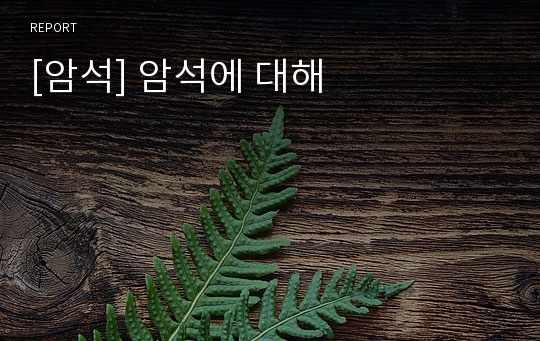 [암석] 암석에 대해