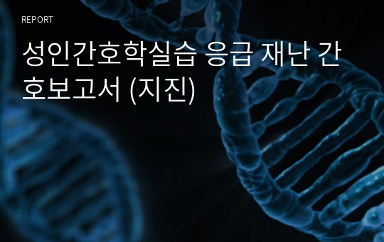 성인간호학실습 응급 재난 간호보고서 (지진)