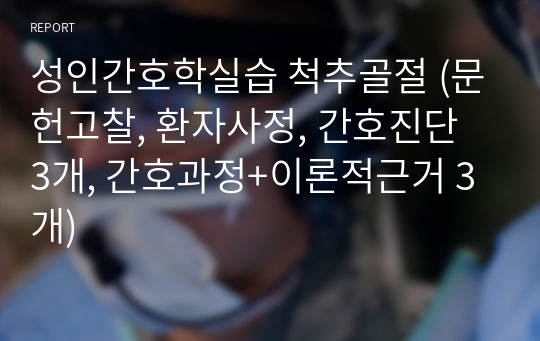 성인간호학실습 척추골절 (문헌고찰, 환자사정, 간호진단 3개, 간호과정+이론적근거 3개)