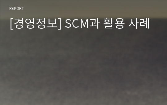 [경영정보] SCM과 활용 사례