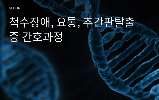 척수장애, 요통, 추간판탈출증 간호과정