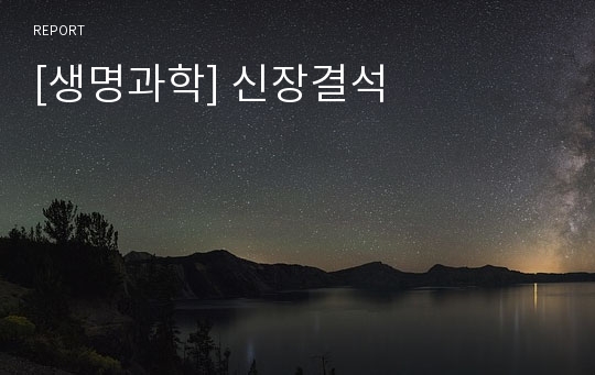 [생명과학] 신장결석