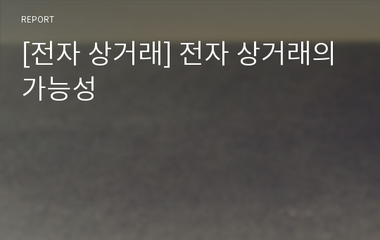 [전자 상거래] 전자 상거래의 가능성