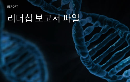 리더십 보고서 파일