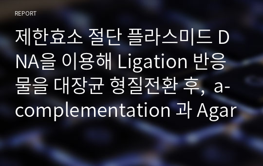 제한효소 절단 플라스미드 DNA을 이용해 Ligation 반응물을 대장균 형질전환 후,  a-complementation 과 Agarose gel Electrophoresis를 통해 DXS 삽입 여부 확인