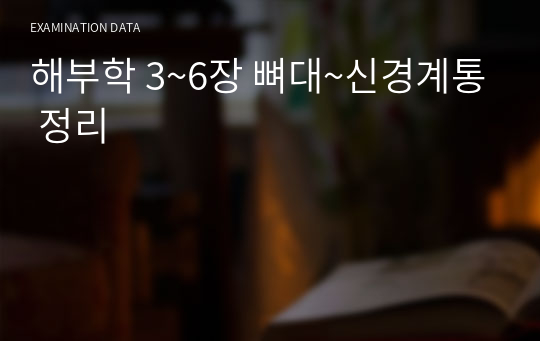 해부학 3~6장 뼈대~신경계통 정리