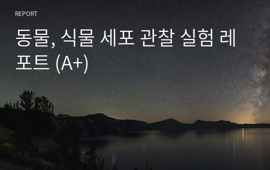 동물, 식물 세포 관찰 실험 레포트 (A+)